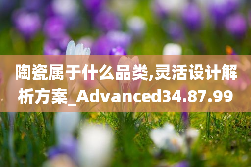 陶瓷属于什么品类,灵活设计解析方案_Advanced34.87.99