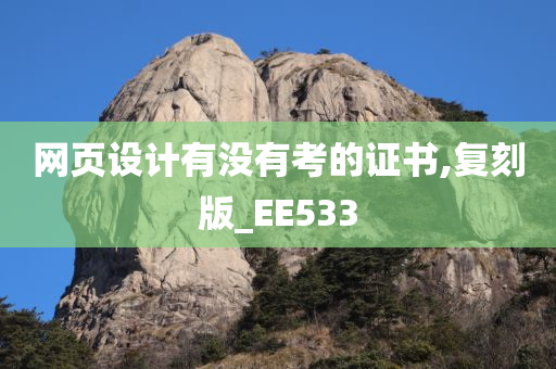 网页设计有没有考的证书,复刻版_EE533