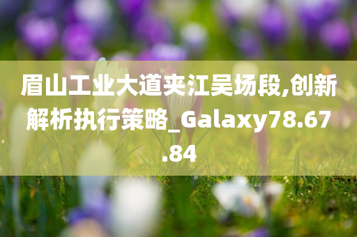 眉山工业大道夹江吴场段,创新解析执行策略_Galaxy78.67.84