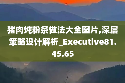 猪肉炖粉条做法大全图片,深层策略设计解析_Executive81.45.65