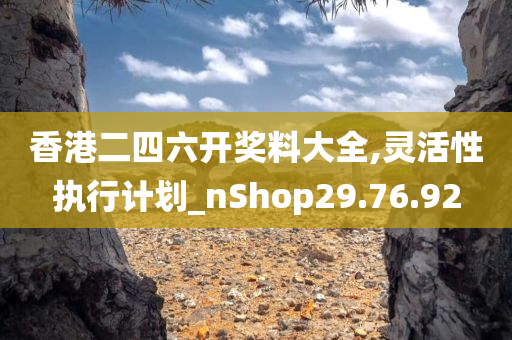 香港二四六开奖料大全,灵活性执行计划_nShop29.76.92