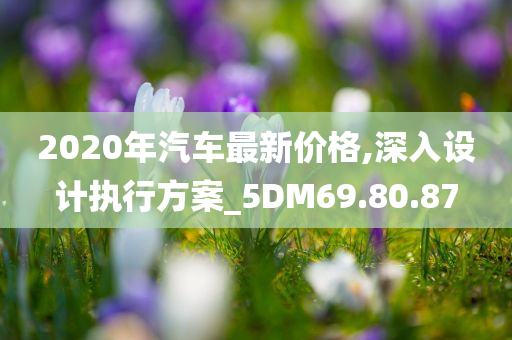 2020年汽车最新价格,深入设计执行方案_5DM69.80.87