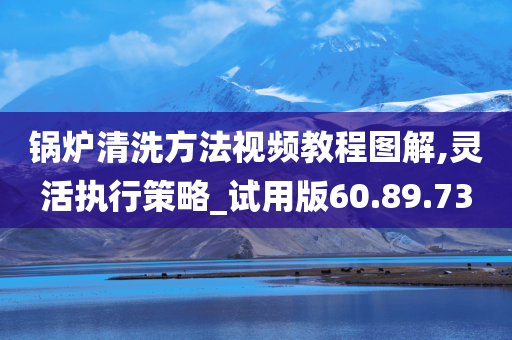 锅炉清洗方法视频教程图解,灵活执行策略_试用版60.89.73