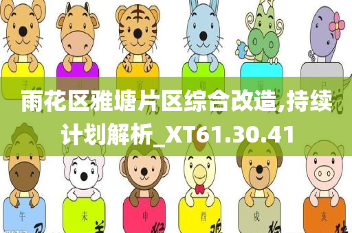 雨花区雅塘片区综合改造,持续计划解析_XT61.30.41