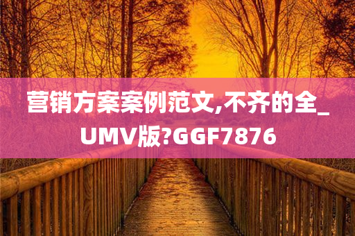 营销方案案例范文,不齐的全_UMV版?GGF7876