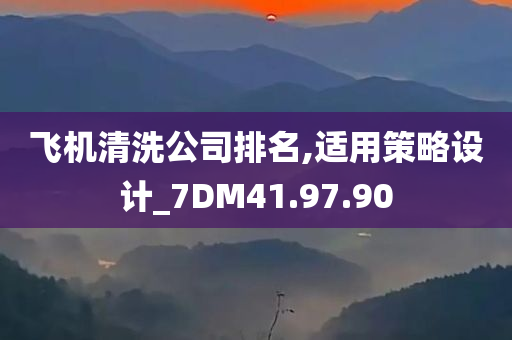 飞机清洗公司排名,适用策略设计_7DM41.97.90