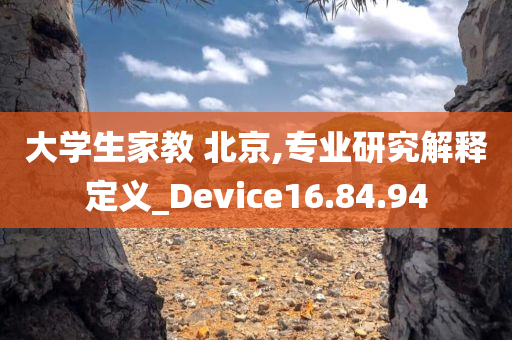 大学生家教 北京,专业研究解释定义_Device16.84.94