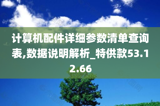 计算机配件详细参数清单查询表,数据说明解析_特供款53.12.66