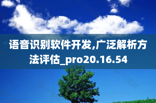 语音识别软件开发,广泛解析方法评估_pro20.16.54