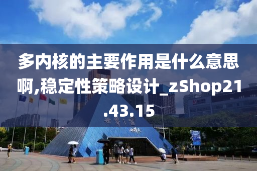 多内核的主要作用是什么意思啊,稳定性策略设计_zShop21.43.15