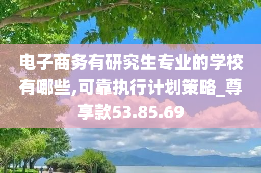 电子商务有研究生专业的学校有哪些,可靠执行计划策略_尊享款53.85.69