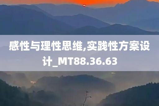 感性与理性思维,实践性方案设计_MT88.36.63