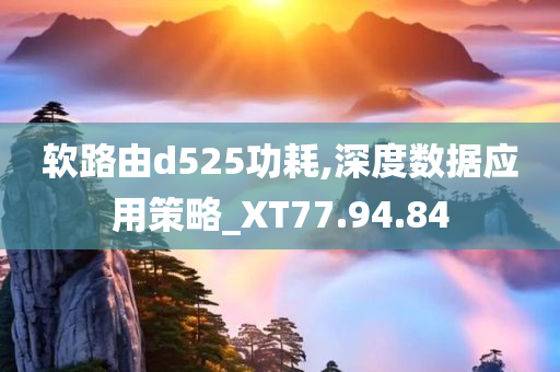 软路由d525功耗,深度数据应用策略_XT77.94.84