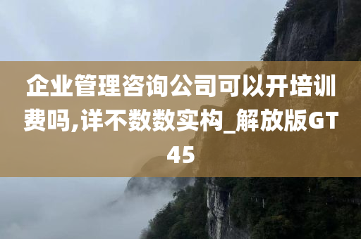 企业管理咨询公司可以开培训费吗,详不数数实构_解放版GT45