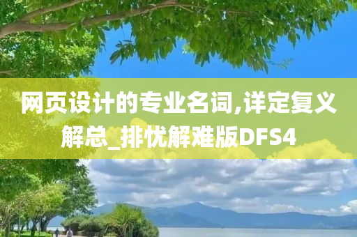 网页设计的专业名词,详定复义解总_排忧解难版DFS4