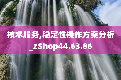 技术服务,稳定性操作方案分析_zShop44.63.86