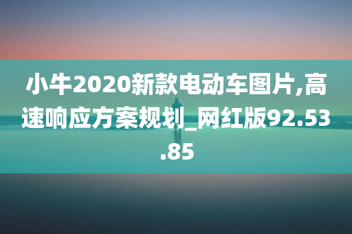 小牛2020新款电动车图片,高速响应方案规划_网红版92.53.85