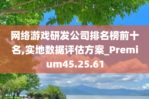 网络游戏研发公司排名榜前十名,实地数据评估方案_Premium45.25.61