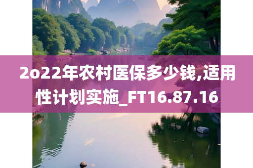 2o22年农村医保多少钱,适用性计划实施_FT16.87.16