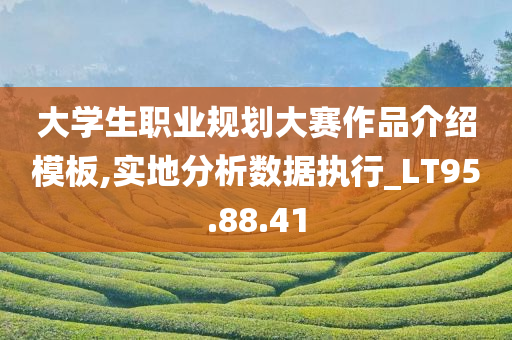 大学生职业规划大赛作品介绍模板,实地分析数据执行_LT95.88.41