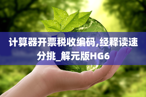 计算器开票税收编码,经释读速分挑_解元版HG6