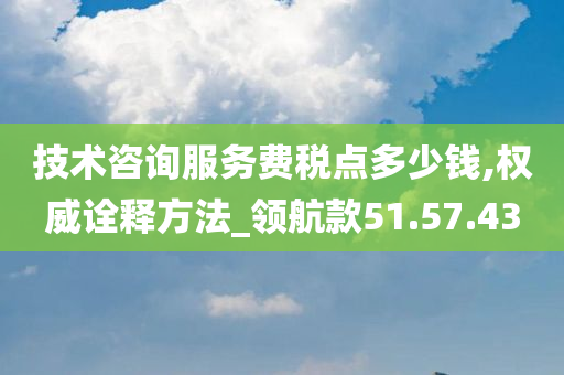 技术咨询服务费税点多少钱,权威诠释方法_领航款51.57.43