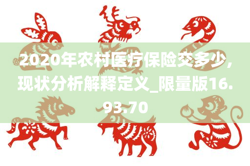 2020年农村医疗保险交多少,现状分析解释定义_限量版16.93.70