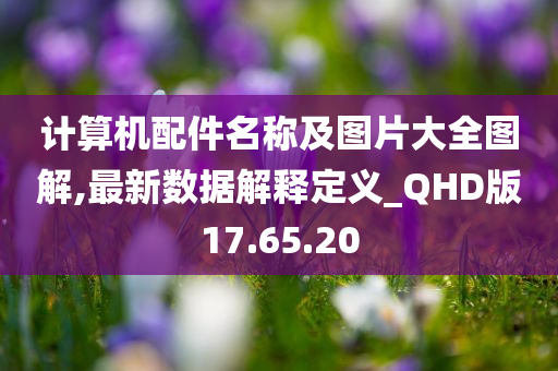 计算机配件名称及图片大全图解,最新数据解释定义_QHD版17.65.20