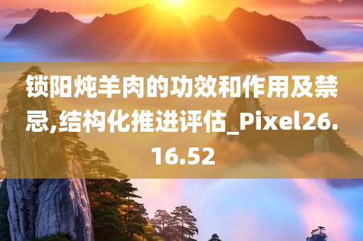 锁阳炖羊肉的功效和作用及禁忌,结构化推进评估_Pixel26.16.52