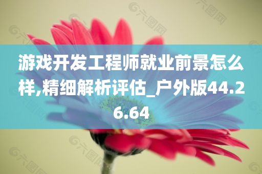 游戏开发工程师就业前景怎么样,精细解析评估_户外版44.26.64