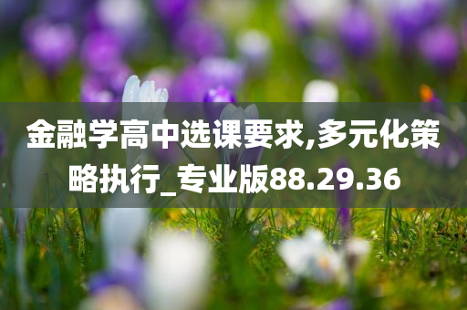 金融学高中选课要求,多元化策略执行_专业版88.29.36