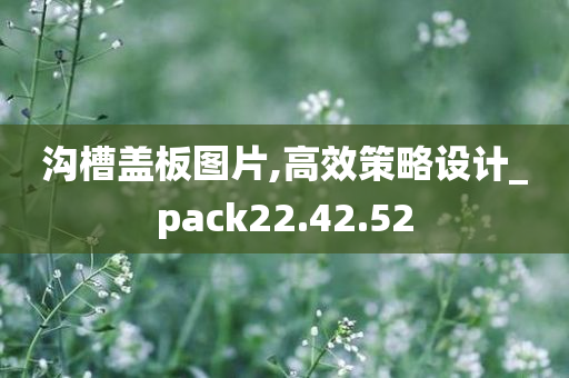 沟槽盖板图片,高效策略设计_pack22.42.52