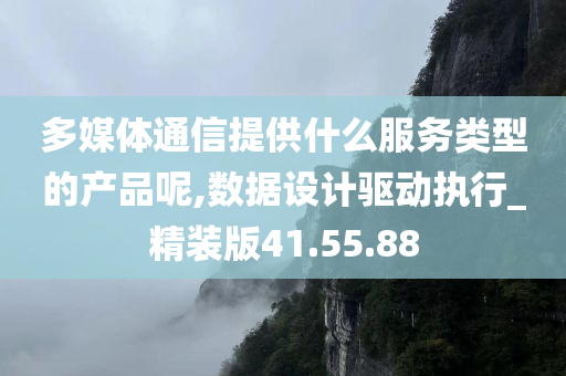 多媒体通信提供什么服务类型的产品呢,数据设计驱动执行_精装版41.55.88