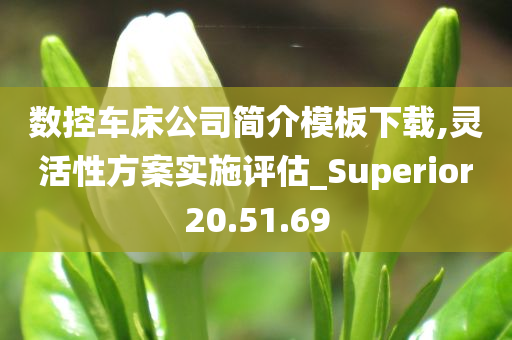 数控车床公司简介模板下载,灵活性方案实施评估_Superior20.51.69