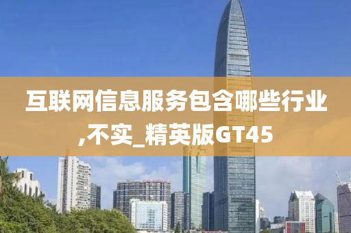 互联网信息服务包含哪些行业,不实_精英版GT45