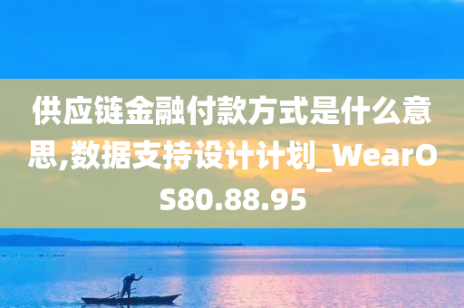 供应链金融付款方式是什么意思,数据支持设计计划_WearOS80.88.95