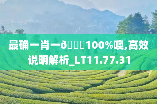 最确一肖一🐎100%噢,高效说明解析_LT11.77.31