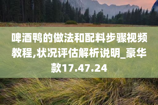 啤酒鸭的做法和配料步骤视频教程,状况评估解析说明_豪华款17.47.24