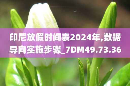 印尼放假时间表2024年,数据导向实施步骤_7DM49.73.36