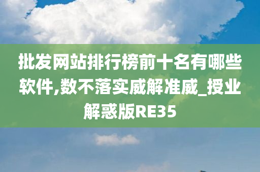 批发网站排行榜前十名有哪些软件,数不落实威解准威_授业解惑版RE35