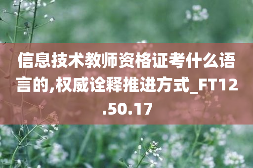 信息技术教师资格证考什么语言的,权威诠释推进方式_FT12.50.17