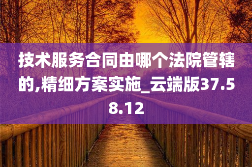 技术服务合同由哪个法院管辖的,精细方案实施_云端版37.58.12