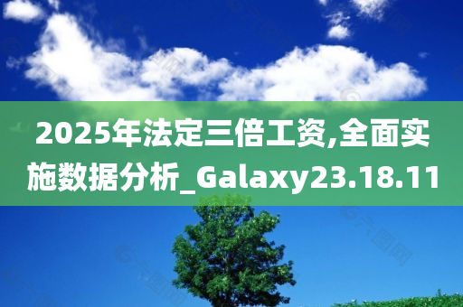 2025年法定三倍工资,全面实施数据分析_Galaxy23.18.11