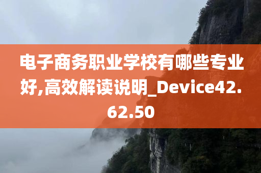 电子商务职业学校有哪些专业好,高效解读说明_Device42.62.50