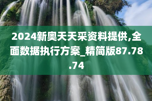 2024新奥天天采资料提供,全面数据执行方案_精简版87.78.74