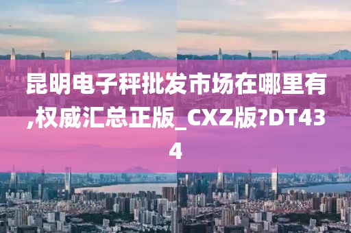 昆明电子秤批发市场在哪里有,权威汇总正版_CXZ版?DT434