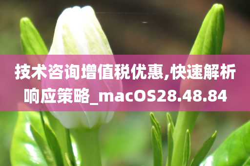 技术咨询增值税优惠,快速解析响应策略_macOS28.48.84