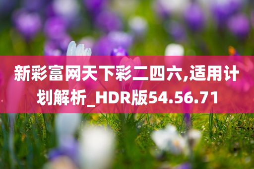 新彩富网天下彩二四六,适用计划解析_HDR版54.56.71