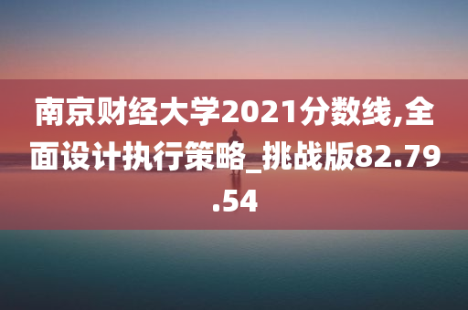 南京财经大学2021分数线,全面设计执行策略_挑战版82.79.54