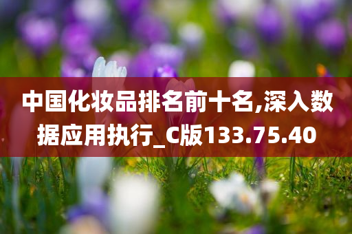 中国化妆品排名前十名,深入数据应用执行_C版133.75.40